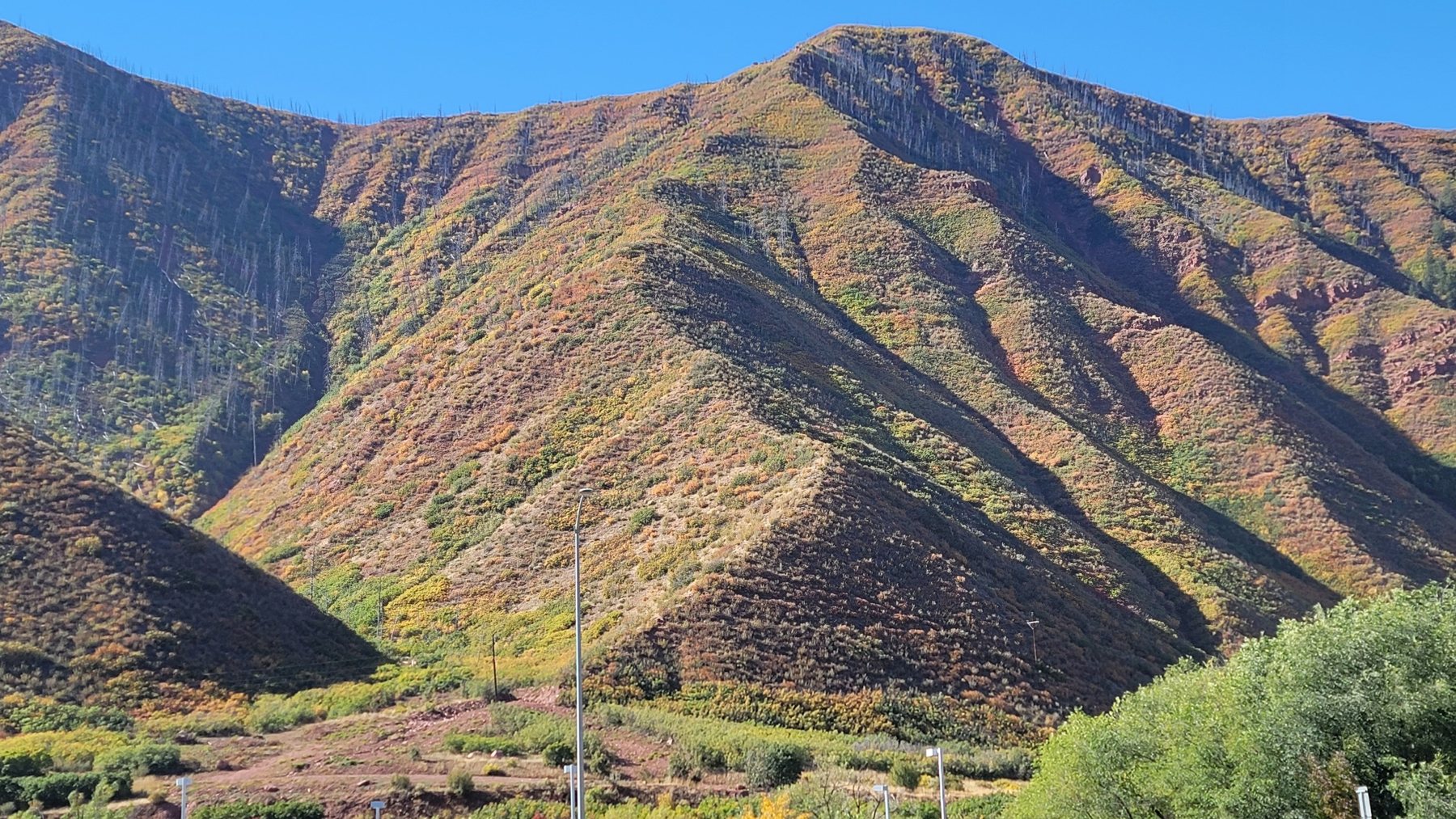 Autumn on the hillsides above the Colorado River, Garfield County